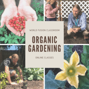organic gardening and permaculture enrichment class