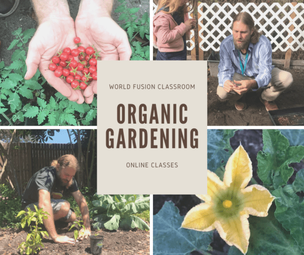 organic gardening and permaculture enrichment class